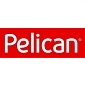 Пеликан.jpg