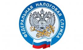 Более 60 нарушений выявлено налоговыми органами Новосибирской области